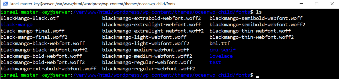 Wordpress Fonts Folder Example.