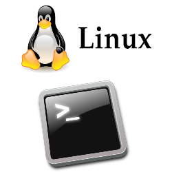 Mac Term
